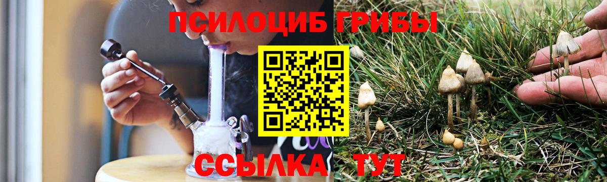 Псилоцибиновые грибы Magic Shrooms  где продают наркотики  Вход с VPN  Красноярск  Галлюциногенные грибы Cubensis 